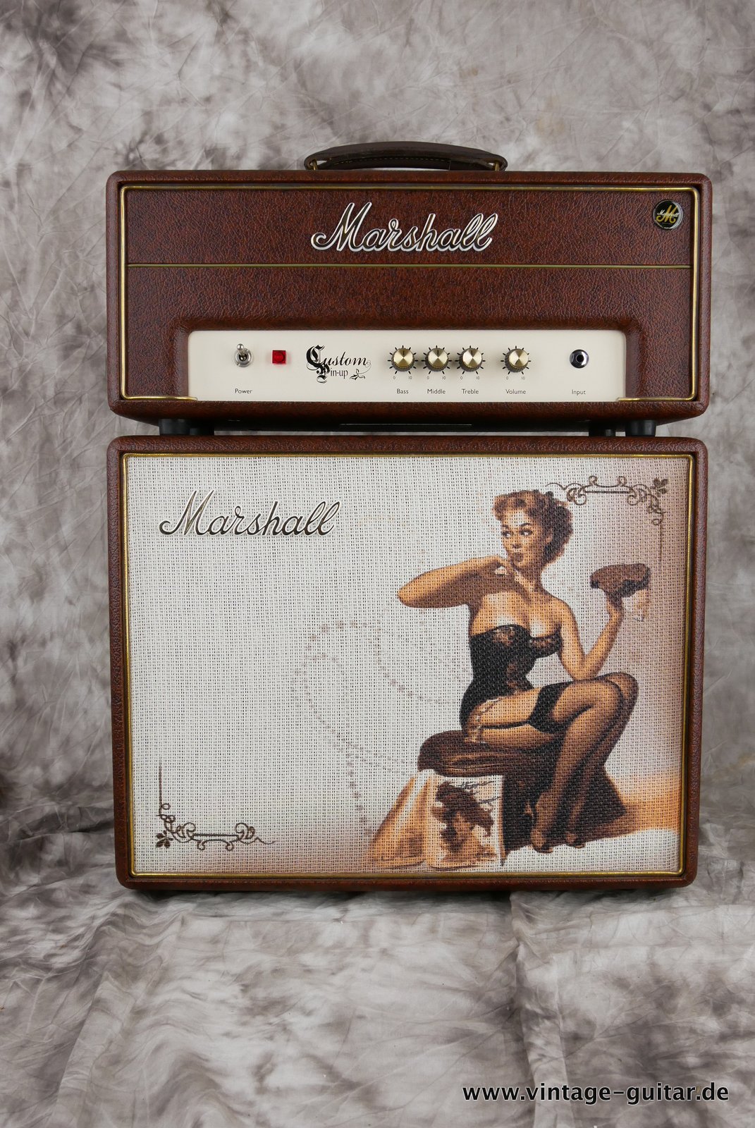 Marshall-C5H-top-and cabinet-pin-up-2013-001.JPG